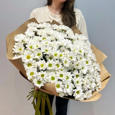Букет «21 ромашка» – нежные белые кустовые хризантемы в натуральном стиле Бокситогорск Ленинградская область Букет «21 ромашка» – нежные белые кустовые хризантемы в натуральном стиле Бокситогорск Ленинградская область