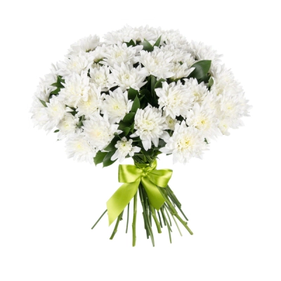 Букет «Белый ангел» – скульптурная чистота белых хризантем Бокситогорск Ленинградская область Букет «Белый ангел» – скульптурная чистота белых хризантем Бокситогорск Ленинградская область