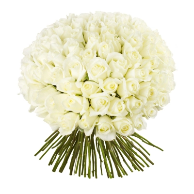 Роскошный букет из 101 белой розы – воплощение бесконечной любви Бокситогорск Ленинградская область Роскошный букет из 101 белой розы – воплощение бесконечной любви Бокситогорск Ленинградская область