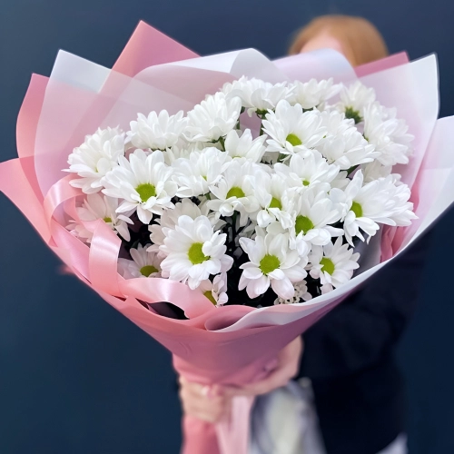 Букет «Розовое счастье» – нежность белых хризантем Бокситогорск Ленинградская область Букет «Розовое счастье» – нежность белых хризантем Бокситогорск Ленинградская область