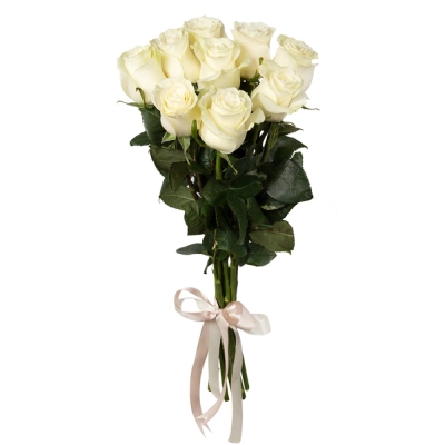 Букет из 9 белых роз Букет из 9 белых роз
