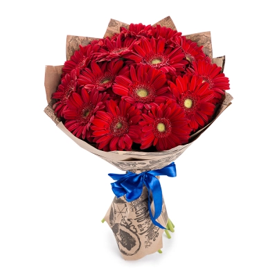 Яркий букет из 15 красных гербер – воплощение страсти и жизнерадостности Бокситогорск Ленинградская область Яркий букет из 15 красных гербер – воплощение страсти и жизнерадостности Бокситогорск Ленинградская область