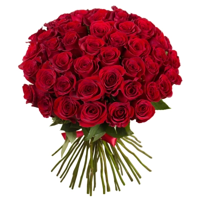Букет «О, Шарман!» – 51 роскошная эквадорская роза Бокситогорск Ленинградская область Букет «О, Шарман!» – 51 роскошная эквадорская роза Бокситогорск Ленинградская область