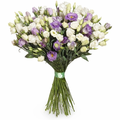 Изысканный букет из белых и фиолетовых эустом – гармония контрастов Бокситогорск Ленинградская область Изысканный букет из белых и фиолетовых эустом – гармония контрастов Бокситогорск Ленинградская область