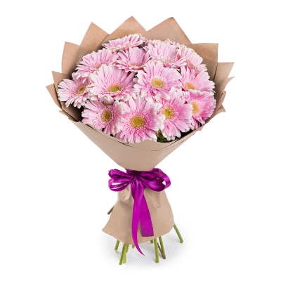 Нежный букет из 15 розовых гербер – воплощение трогательных чувств Бокситогорск Ленинградская область Нежный букет из 15 розовых гербер – воплощение трогательных чувств Бокситогорск Ленинградская область