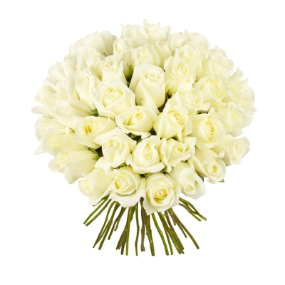 Роскошный букет из 51 белой розы – символ безграничной преданности Бокситогорск Ленинградская область Роскошный букет из 51 белой розы – символ безграничной преданности Бокситогорск Ленинградская область