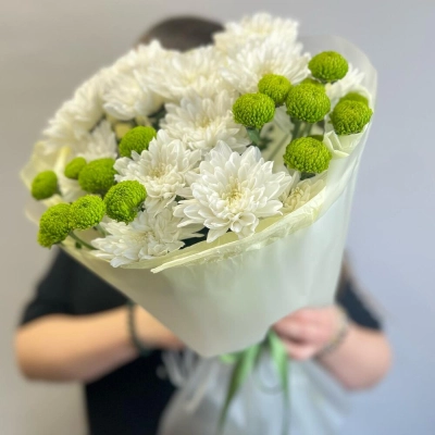 Эксклюзивный букет «Филин Грин» – сочетание белых и зеленых хризантем Бокситогорск Ленинградская область Эксклюзивный букет «Филин Грин» – сочетание белых и зеленых хризантем Бокситогорск Ленинградская область