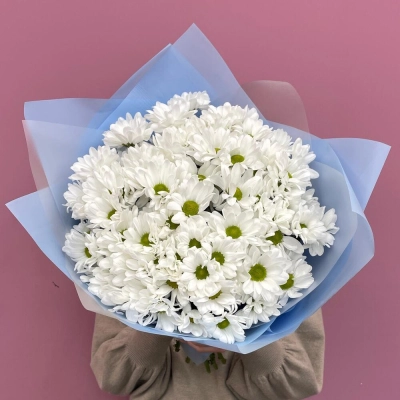 Букет «Ромашковое поле» – свежесть белых хризантем Бокситогорск Ленинградская область Букет «Ромашковое поле» – свежесть белых хризантем Бокситогорск Ленинградская область