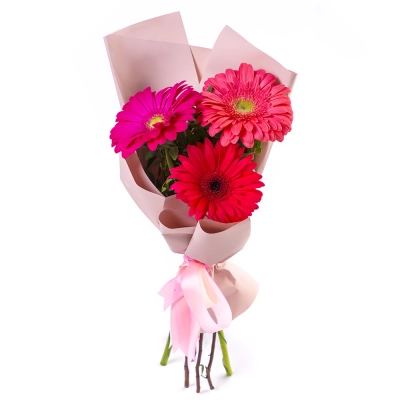 Яркий букет из 3 разноцветных гербер – маленькое чудо в ваших руках Бокситогорск Ленинградская область Яркий букет из 3 разноцветных гербер – маленькое чудо в ваших руках Бокситогорск Ленинградская область
