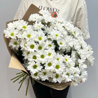 Букет «Летняя свежесть» – дыхание лета в белых хризантемах Бокситогорск Ленинградская область Букет «Летняя свежесть» – дыхание лета в белых хризантемах Бокситогорск Ленинградская область