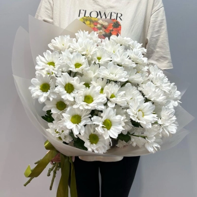 Букет «Летнее настроение» – свежесть белых хризантем Бокситогорск Ленинградская область Букет «Летнее настроение» – свежесть белых хризантем Бокситогорск Ленинградская область