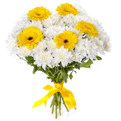 Солнечный букет из желтых гербер и белых хризантем – радость в каждом лепестке Бокситогорск Ленинградская область Солнечный букет из желтых гербер и белых хризантем – радость в каждом лепестке Бокситогорск Ленинградская область