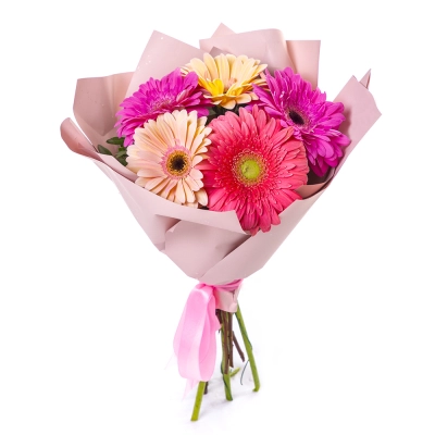 Яркий букет из 5 разноцветных гербер – солнечное настроение в подарок Бокситогорск Ленинградская область Яркий букет из 5 разноцветных гербер – солнечное настроение в подарок Бокситогорск Ленинградская область
