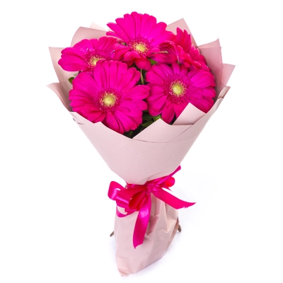 Букет из 5 малиновых гербер – сочный акцент вашего подарка Бокситогорск Ленинградская область Букет из 5 малиновых гербер – сочный акцент вашего подарка Бокситогорск Ленинградская область