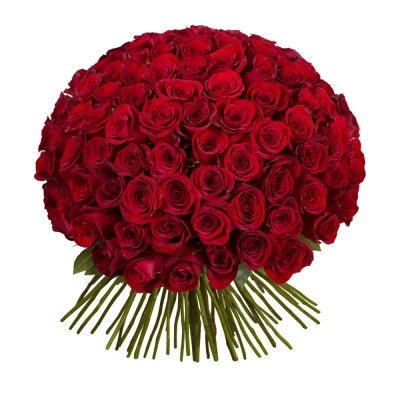 Букет из 101 красной розы – символ бесконечной страсти Бокситогорск Ленинградская область Букет из 101 красной розы – символ бесконечной страсти Бокситогорск Ленинградская область