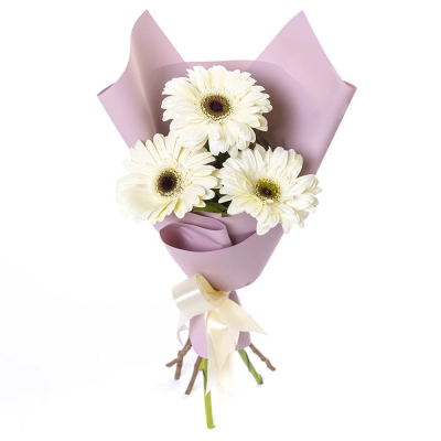 Нежный букет из 3 белых гербер – символ искренности и света Бокситогорск Ленинградская область Нежный букет из 3 белых гербер – символ искренности и света Бокситогорск Ленинградская область