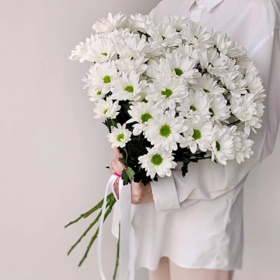 Букет «Ромашка» – 9 белоснежных хризантем в деревенском стиле Бокситогорск Ленинградская область Букет «Ромашка» – 9 белоснежных хризантем в деревенском стиле Бокситогорск Ленинградская область