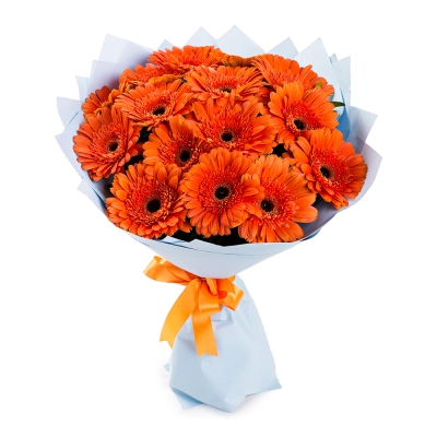 Яркий букет из 15 оранжевых гербер – как кусочек солнца в ваших руках Бокситогорск Ленинградская область Яркий букет из 15 оранжевых гербер – как кусочек солнца в ваших руках Бокситогорск Ленинградская область