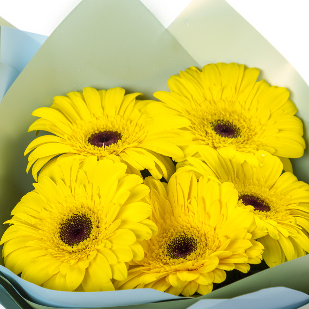 Яркий букет из 5 жёлтых гербер – как кусочек солнца в ваших руках Бокситогорск Ленинградская область