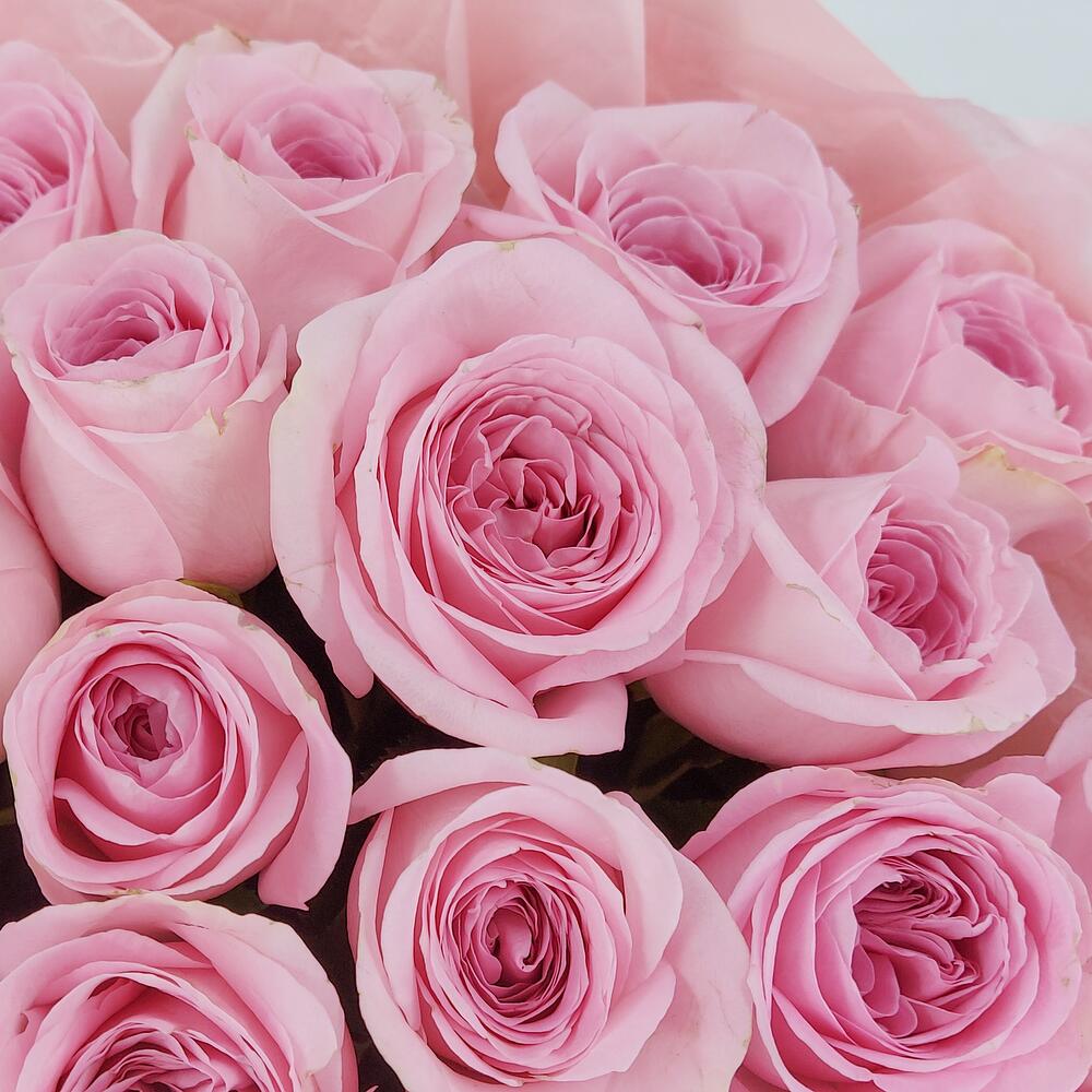 Букет из нежно-розовых роз – элегантность в каждом лепестке Бокситогорск Ленинградская область