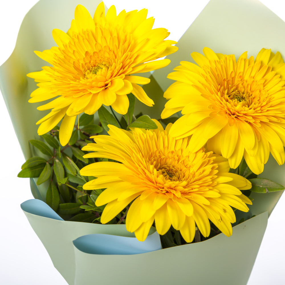 Яркий букет из 3 жёлтых гербер – частичка солнечного света Бокситогорск Ленинградская область